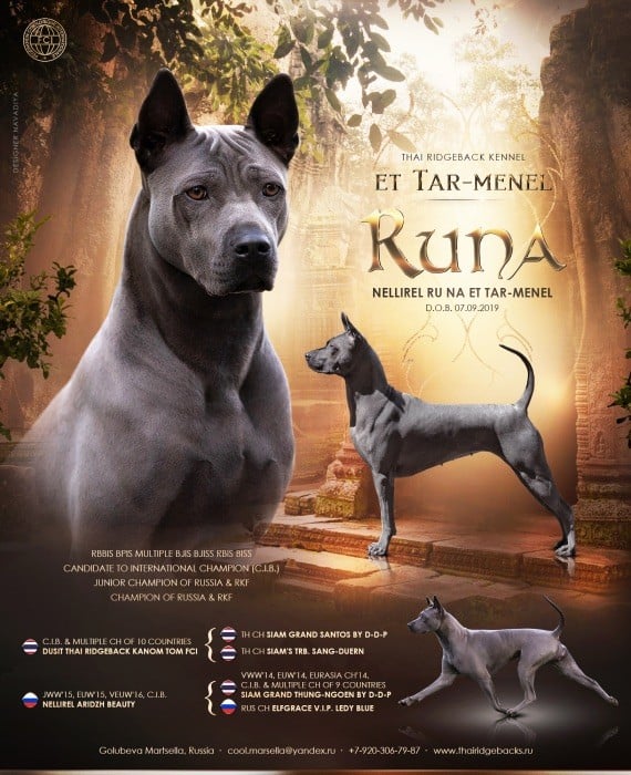 CH. Deya wenn bellethein et tar menel