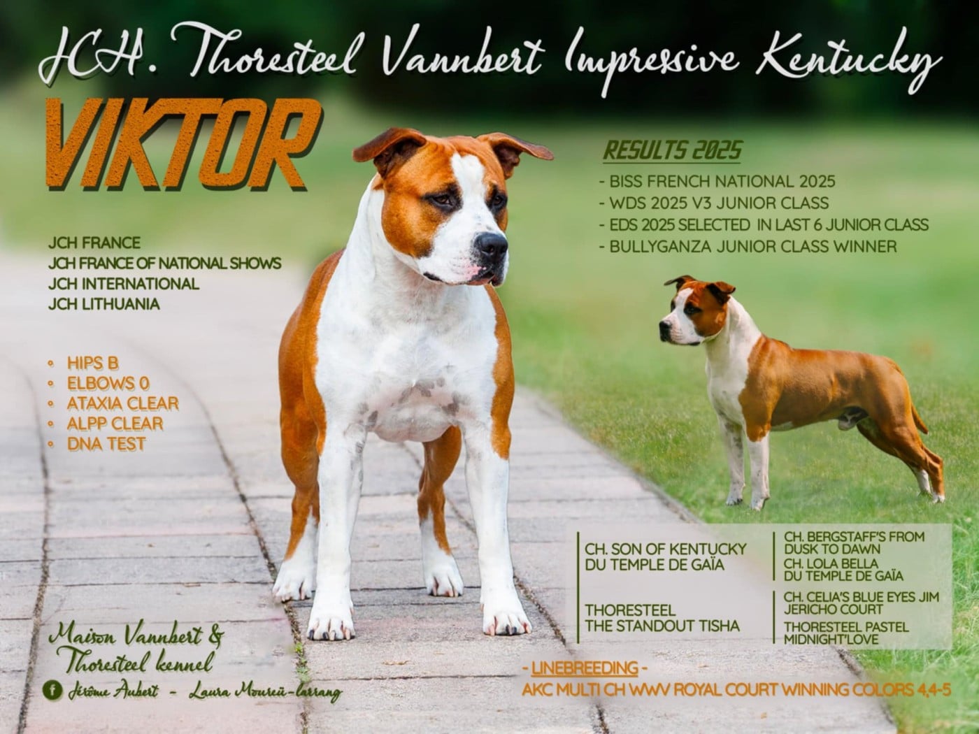 Thoresteel Vannbert impressive kentucky