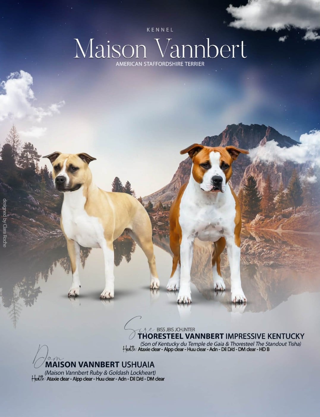 Chiot American Staffordshire Terrier