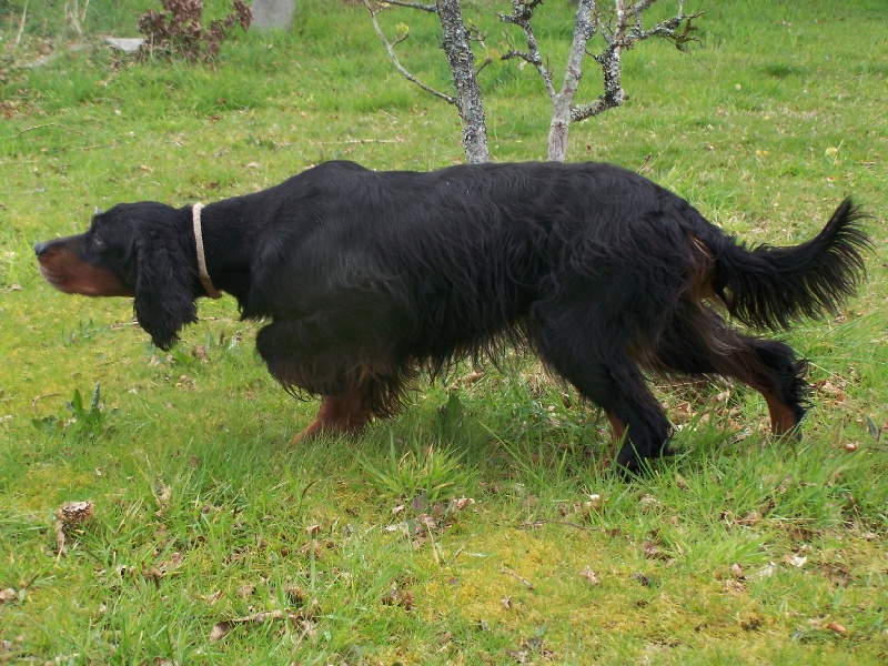 Publication : de lan bern