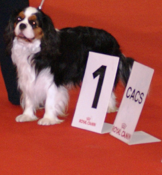 Dépêche mode Du val de la lauriere - CACS