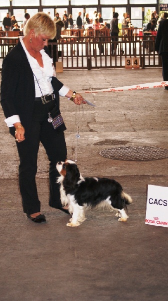 Dépêche mode Du val de la lauriere - CACS