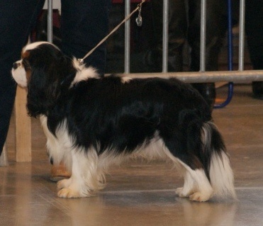 Dépêche mode Du val de la lauriere - CACS