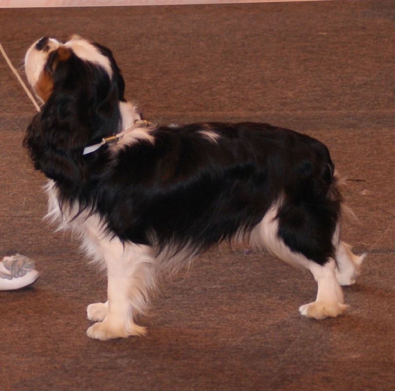 Dépêche mode Du val de la lauriere - CACS