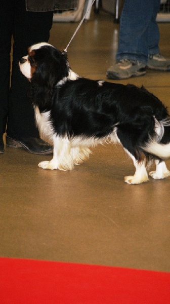 Dépêche mode Du val de la lauriere - CACS