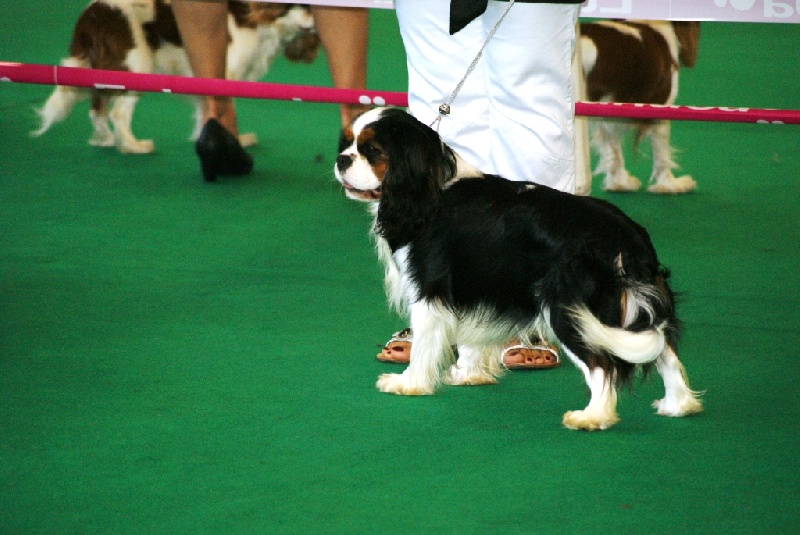 Dépêche mode Du val de la lauriere - 3ème Excellent Classe Intermediaire