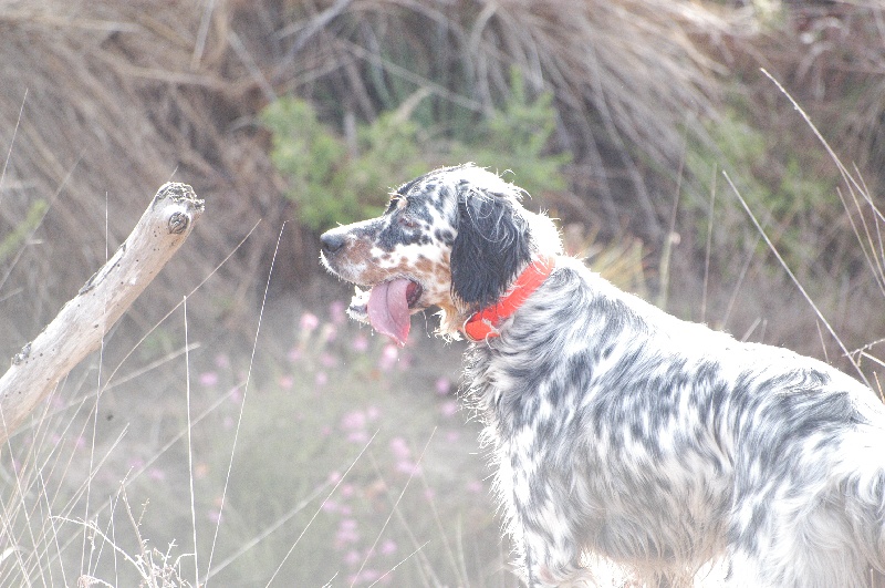 Publication : (Sans Affixe)