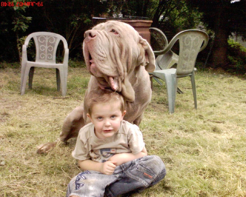 Publication : Des bacchantes de dionysos