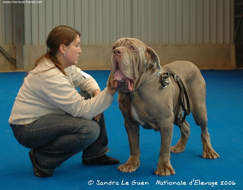 Vickthor Des bacchantes de dionysos - 3eme excellent