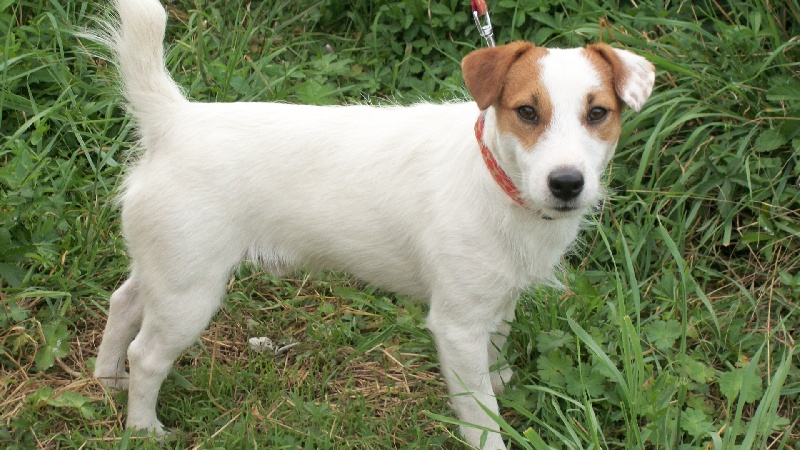 Publication : (Sans Affixe)