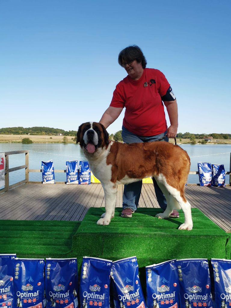 CH. Natty gan (ch.fr. j.) De La Prairie Enchantée - EXCELLENT + et TAN