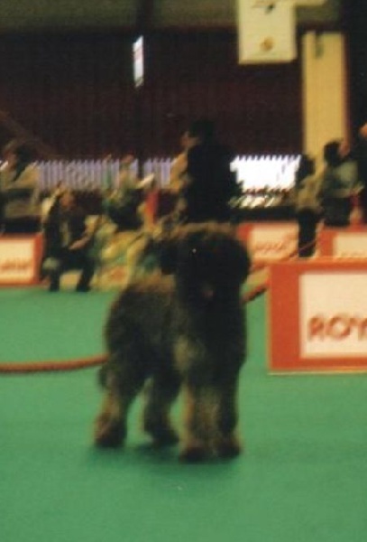 Valkyrie de chant des floralins