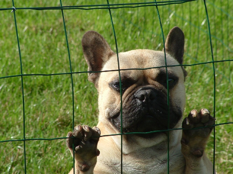 Publication : de la vallée du Bessin