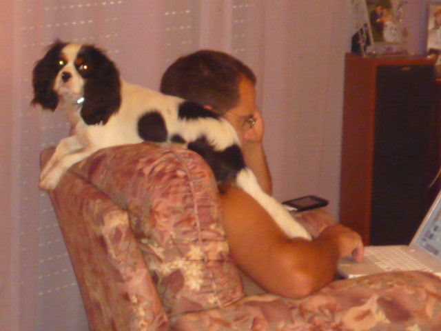 Publication : du clos de la Cigalière