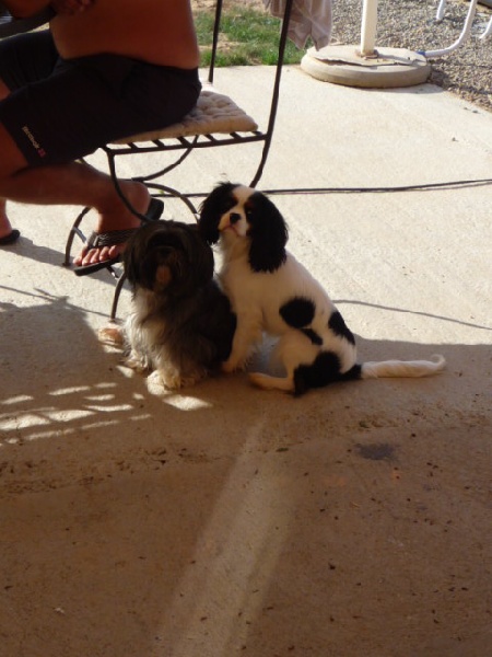 Publication : du clos de la Cigalière