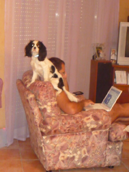 Publication : du clos de la Cigalière