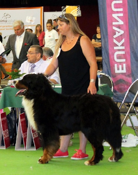 I am nounours du clos de la Cigalière - 4 ème Excellent