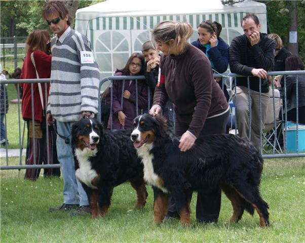 Eden park des jardins d'artemis - très prometteur