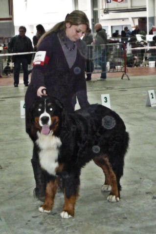 Eden park des jardins d'artemis - 1er exc