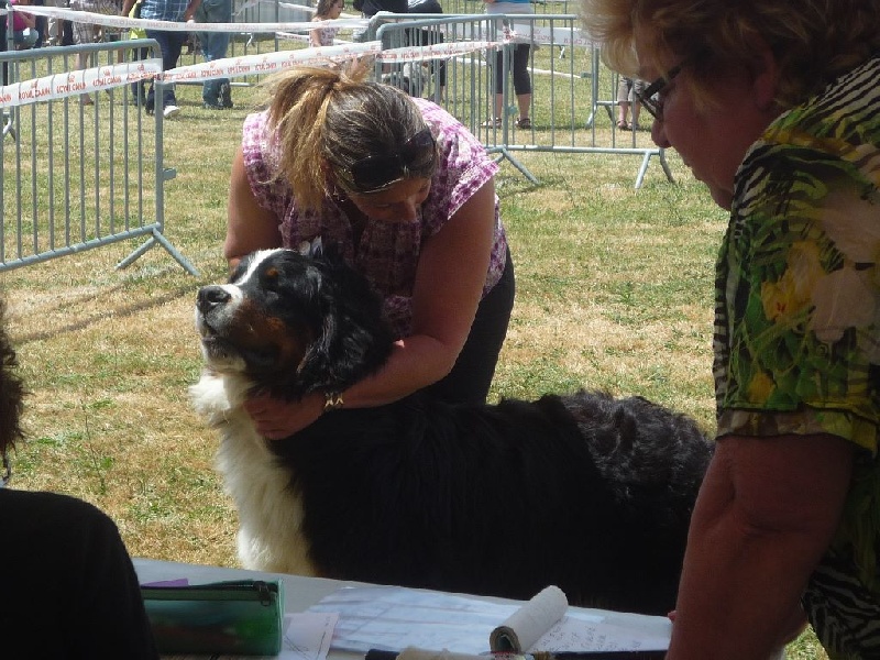 I am nounours du clos de la Cigalière - 1 Bon