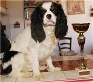 Douchka (Sans Affixe) - 1ere excellente