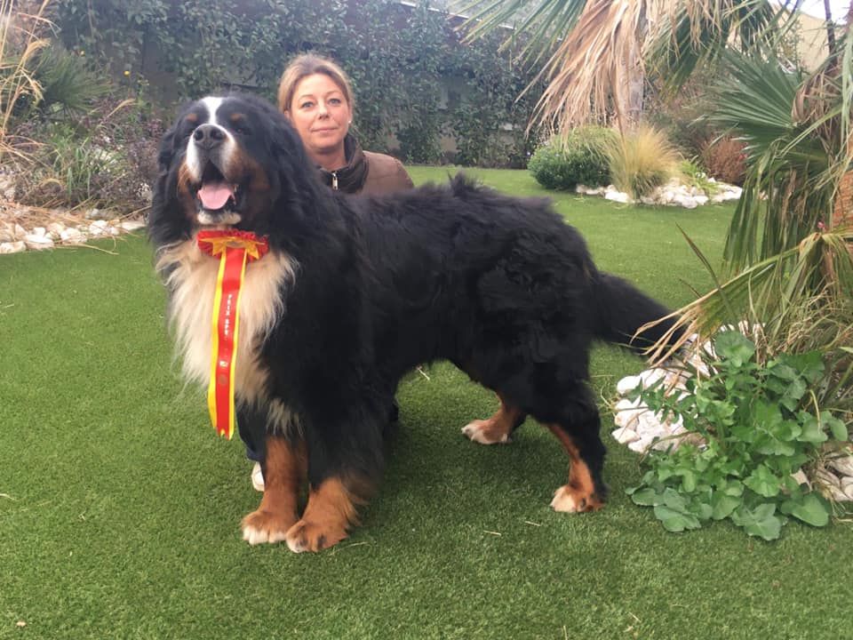 I am nounours du clos de la Cigalière - 3 ème EXCELLENT