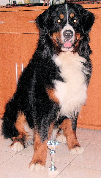 Valcom de la Ferme du Rotour - 2 ème EXCELLENT