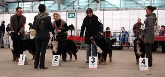 Calisse De la colline de rilhat - 2 ème EXCELLENT