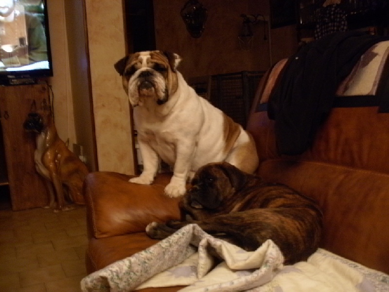 Publication : du roc de candelon