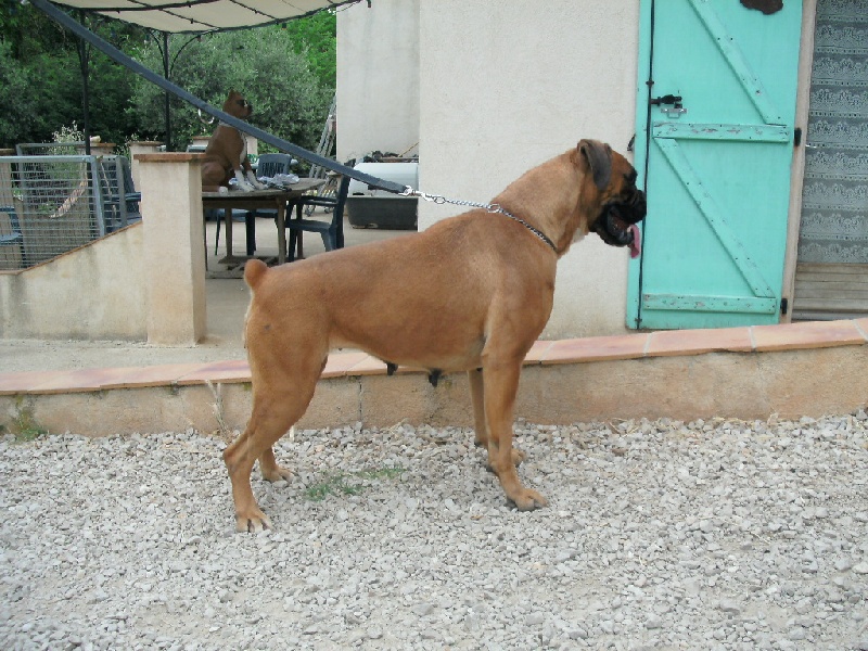 Publication : du roc de candelon