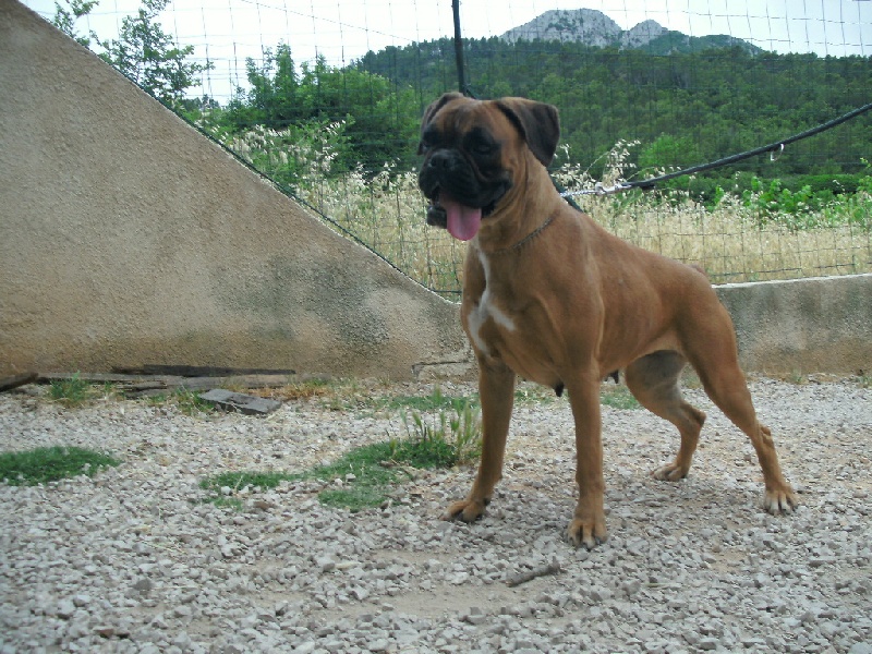 Publication : du roc de candelon