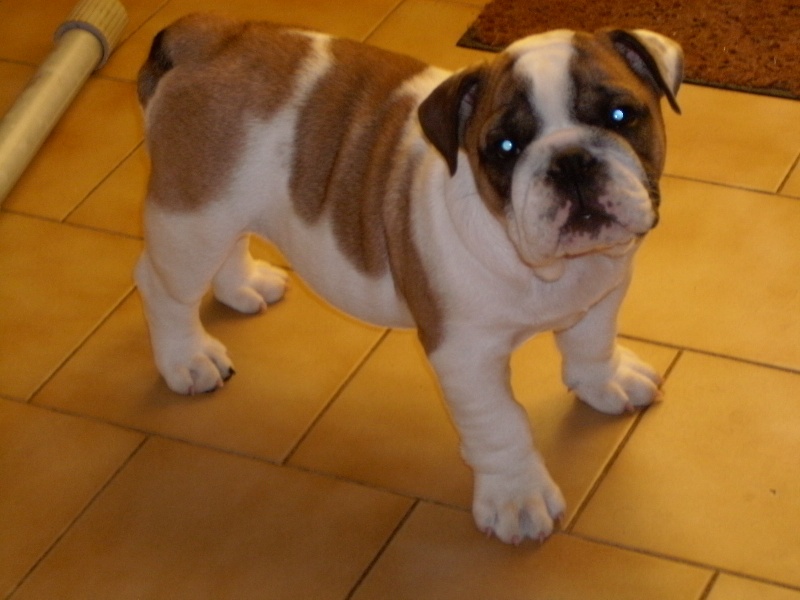 Publication : du roc de candelon