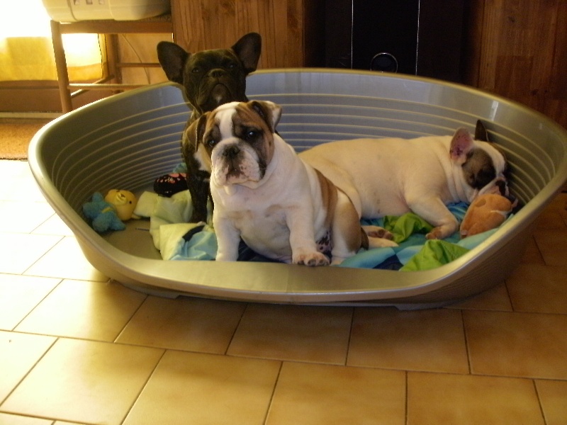 Publication : du roc de candelon