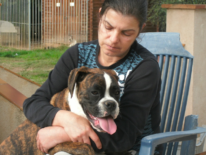 Publication : du roc de candelon