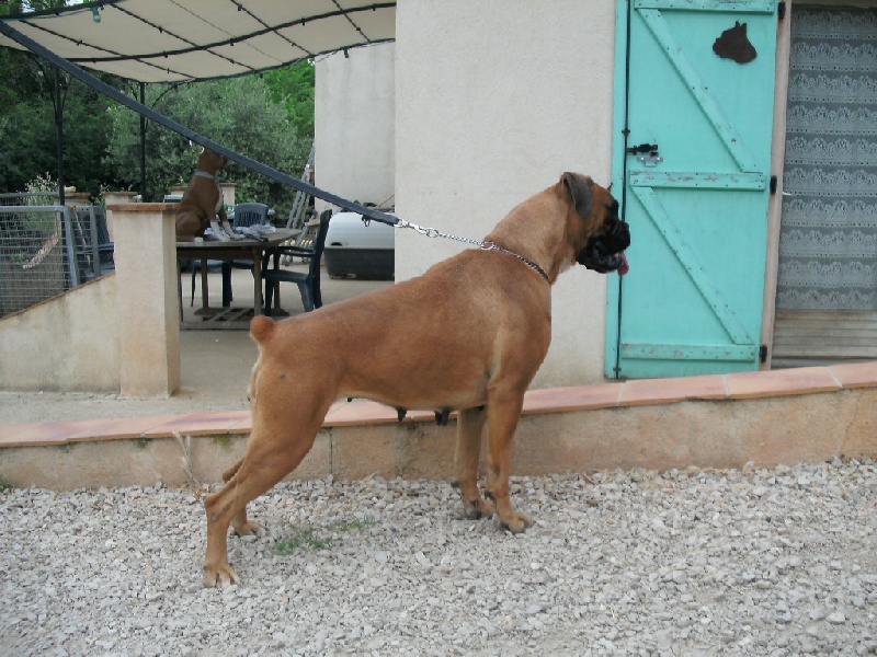 Publication : du roc de candelon