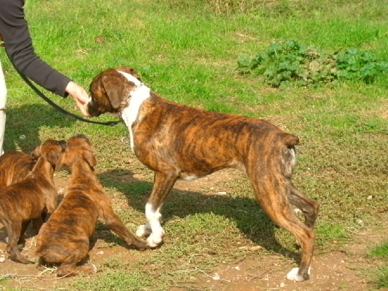 Publication : du roc de candelon