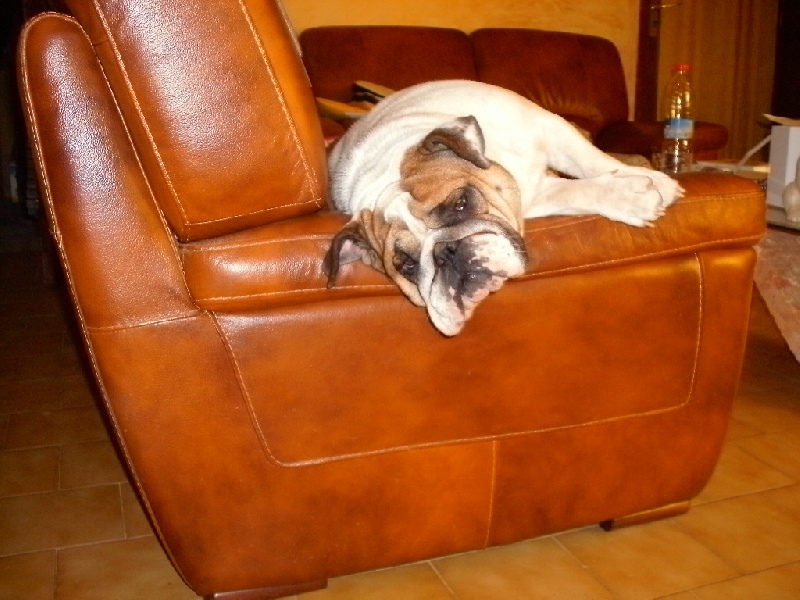 Publication : du roc de candelon