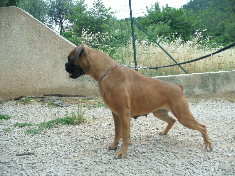 Publication : du roc de candelon