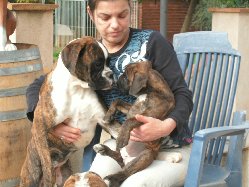 Publication : du roc de candelon