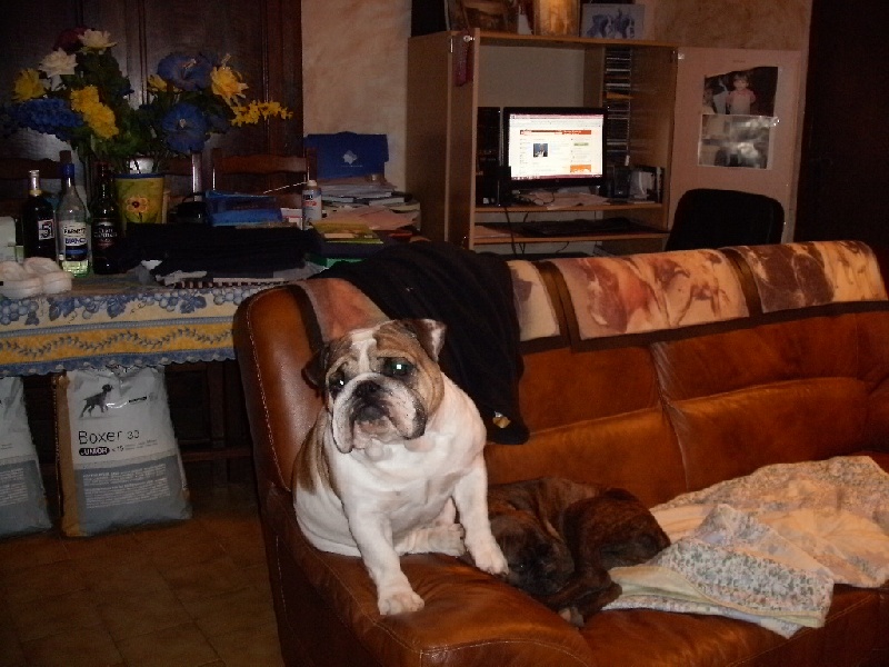 Publication : du roc de candelon