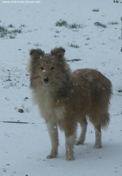 Publication : du Lorecé Auteur : Laure Boite