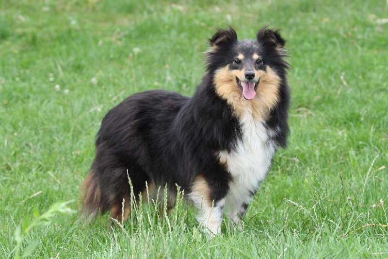 Publication : du Lorecé Auteur : Laure Boite