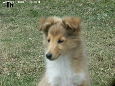 Publication : du Lorecé Auteur : Laure Boite