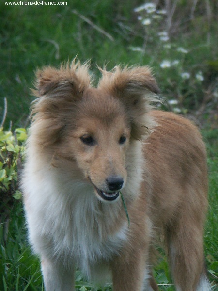 Publication : du Lorecé Auteur : Laure Boite