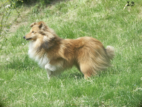 Publication : du Lorecé Auteur : Laure Boite