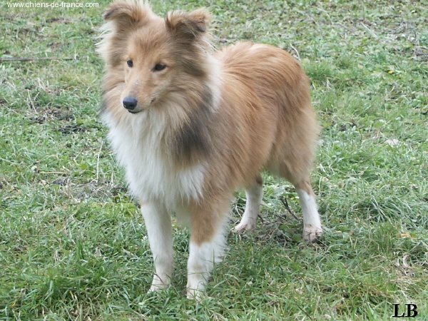 Publication : du Lorecé Auteur : Laure Boite