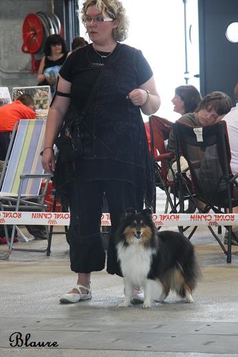 CH. Dilwyn diabolique chipie Au lorece shetland - 1ere Excellent CACIB/CACS