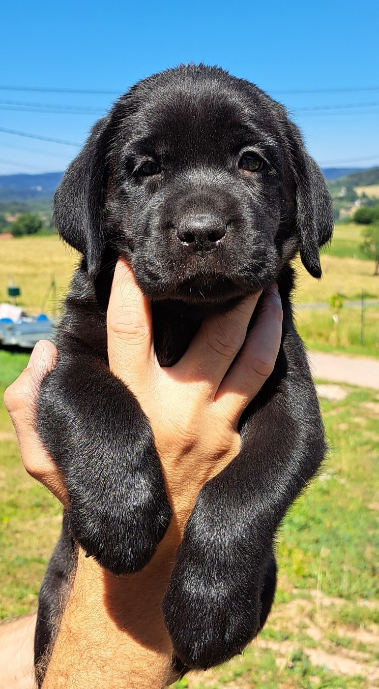 Bahia