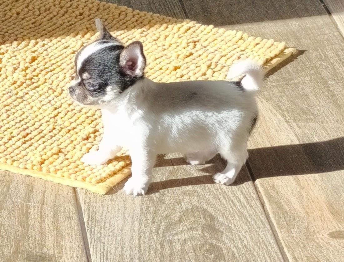 Bénito
