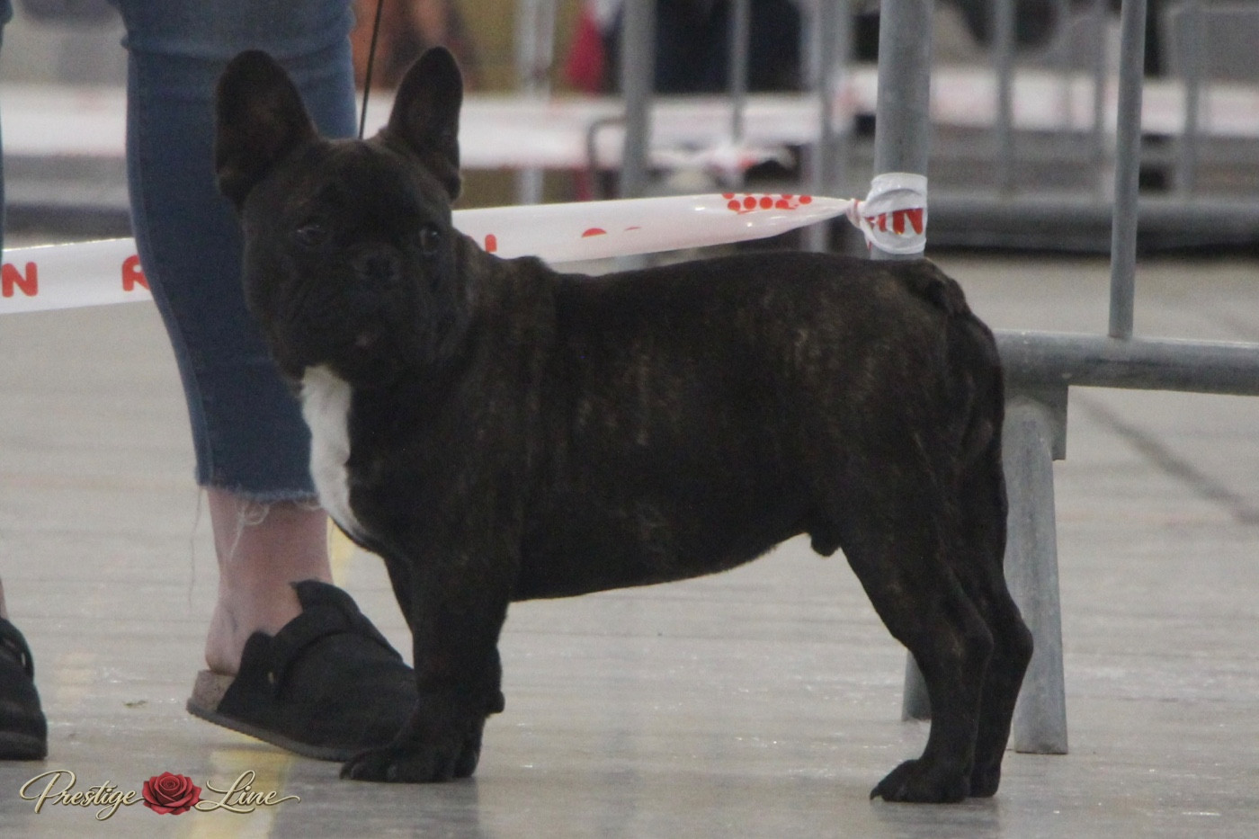 Prestige Line A underground king hades